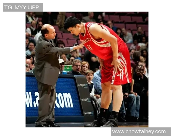 姚明精彩盖帽瞬间回顾NBA传奇中锋的防守艺术与力量展示 姚明精彩盖帽瞬间回顾NBA传奇中锋的防守艺术与力量展示